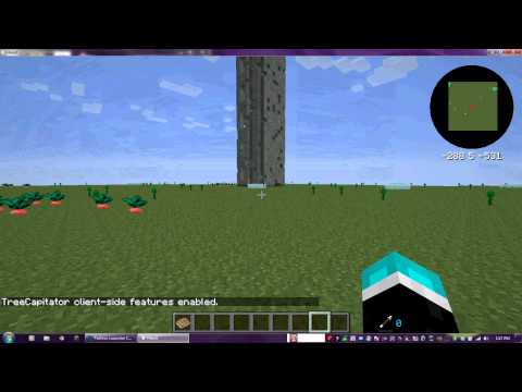 Minecraft Mob Battle : Muntant Iron Golom vs The Monking