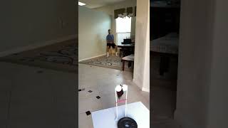 Download lagu HOW?! 🤯 | #shorts mp3