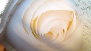 Видео отзыв Екатерина Юрьевна