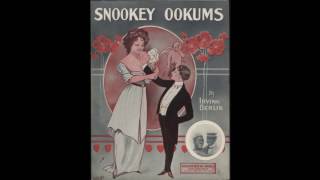 Snookey Ookums (1913)
