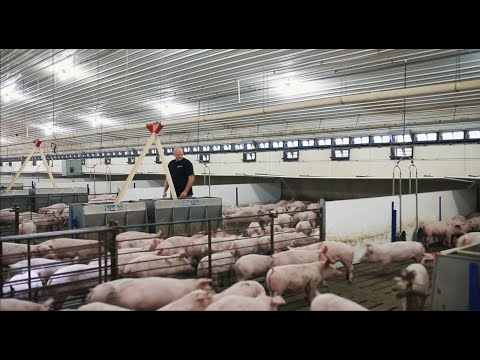 SKOV - Climate and Farm Management, North America