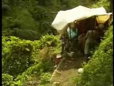 Banana Wars - Caribbean