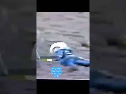 1989 was a sad year for bull riding fans as lane frost was laid to rest that year