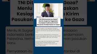 Menlu Sugiono Bahas Pengiriman Pasukan Perdamaian Indonesia ke Gaza di Forum Istanbul