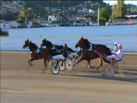 Trotto 30/04/2017 - 8ª corsa