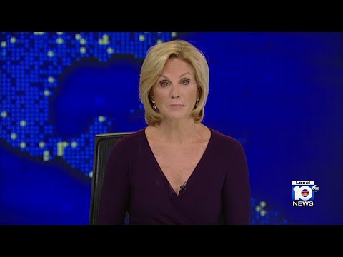 Local 10 News Brief: 09/08/23 Afternoon Edition