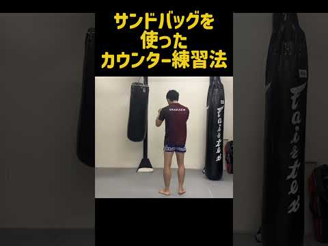 サンドバッグを使ったカウンターの練習方法！~前蹴りや膝蹴りを合わせる方法~