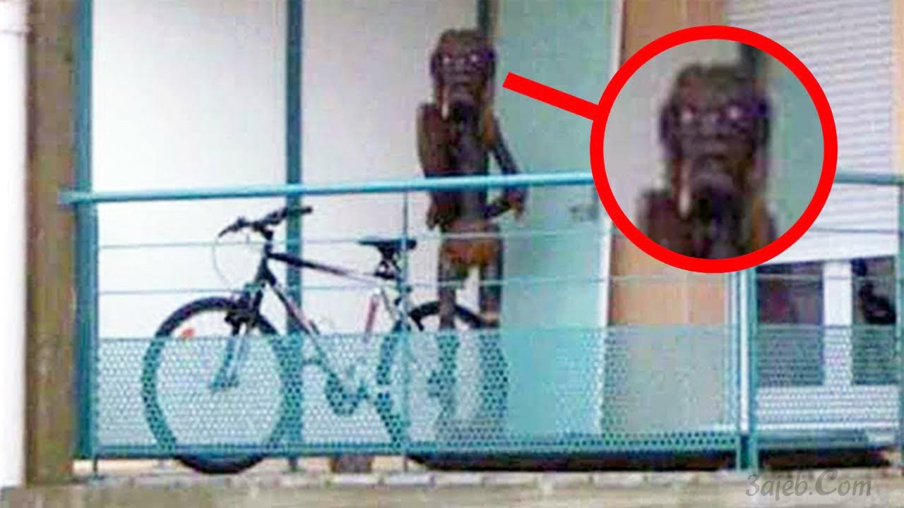 25 Disturbing Things Ever Found On Google Maps