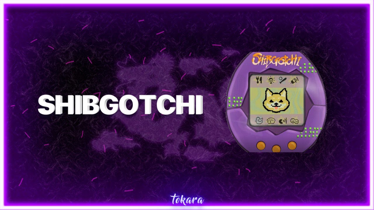 Shibgotchi 프로젝트 개요