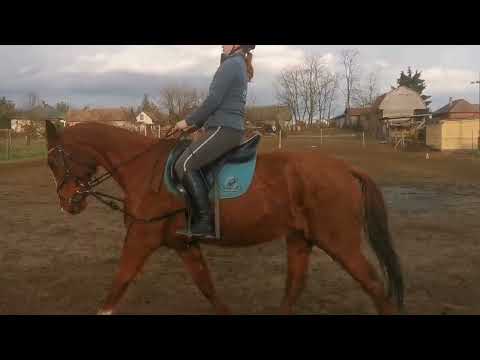 Ungvári Tímea Ágnes - Alíz - Szadi1