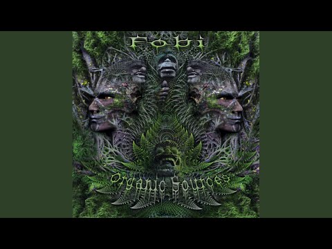 Fireplace (With Zaiklophobia)