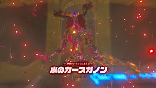 【2人実況】リンク、ミファー救う【ゼルダの伝説ブレスオブザワイルド】
