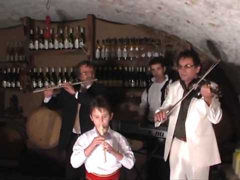 Form  Hanul Draguseni   Ciobanasul din Giulesti vioara  0768385568