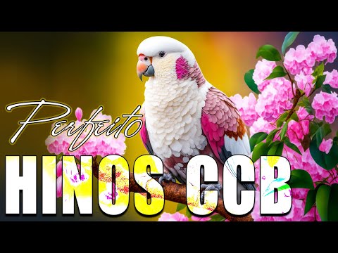 Hinos CCB 2023 - Melhores Hinos de Paz e Amor - A Melodia Do Hino Ccb Acalma A Alma