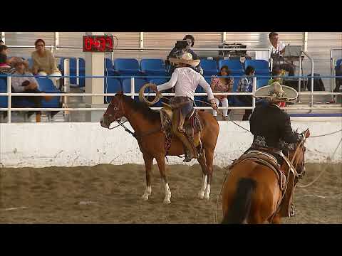 Serie Diamante. Final