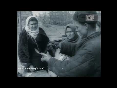 Stalingrad after its liberation, 1943