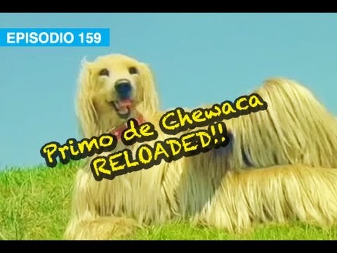 El Regreso del Primo de Chewaca!! l whatdafaqshow.com