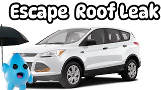 Vehicle Roof Leak ALL CARS💦 Common Ford Escape Roof Leak