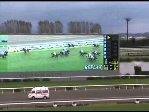 THE KIKUKA SHO　　Orfevre