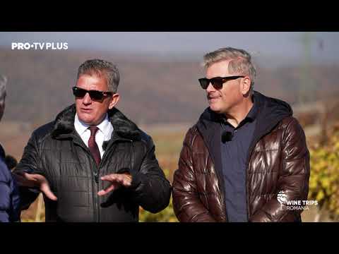 Wine Trips Romania | S2 | E9 : 🍷Mircea Radu în vizită la Crama Jidvei