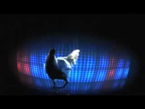 Chicken Song Techno Huhn! @_@