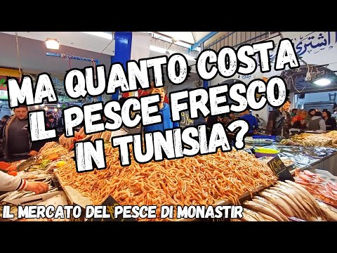 How much does fish cost in Monastir Tunisia?