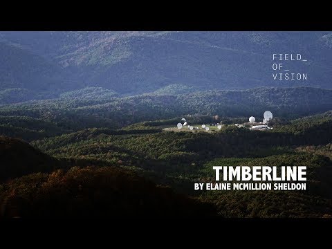 Field of Vision - Timberline