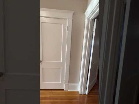 New Amsterdam Apartment - Video 5 of 5