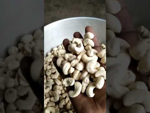 Whole W240 Cashew Nut Imported