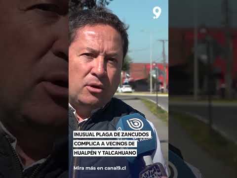 Inusual plaga de zancudos complica a vecinos de Hualpén y Talcahuano