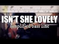 Isn't She Lovely - Stevie Wonder | Simplified bass line with tabs #20