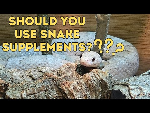 Snake Supplements 101