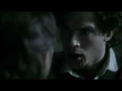 Stefan Convinces Damon to Turn