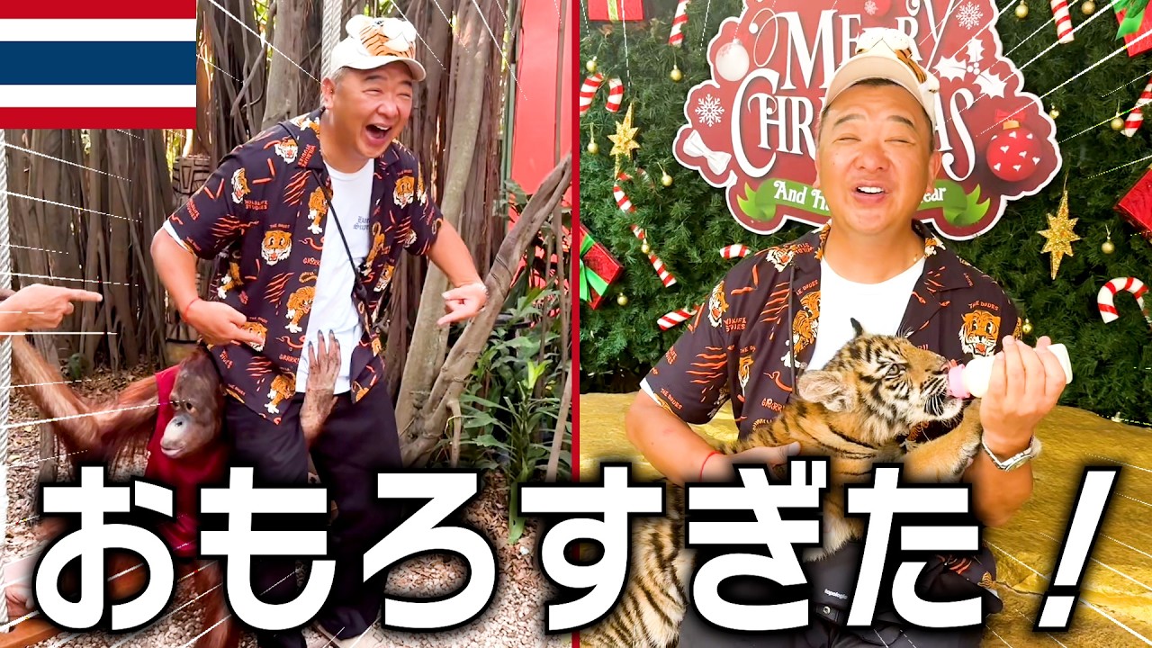 タイの動物園が日本と違い過ぎて想像越えてヤバかった！【サファリワールド】
