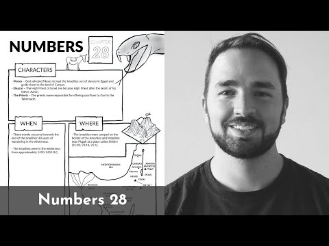 Numbers 28 Summary: A Concise Overview in 5 Minutes