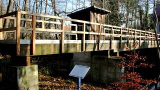 preview picture of video 'Die Pegelmessstation an der Sieber in Herzberg am Harz - la Esperanto-urbo'