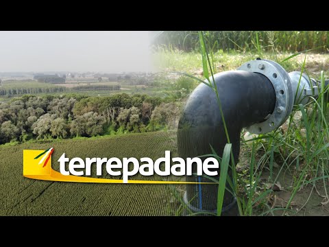 Terrepadane - la subirrigazione (SDI) nel mais
