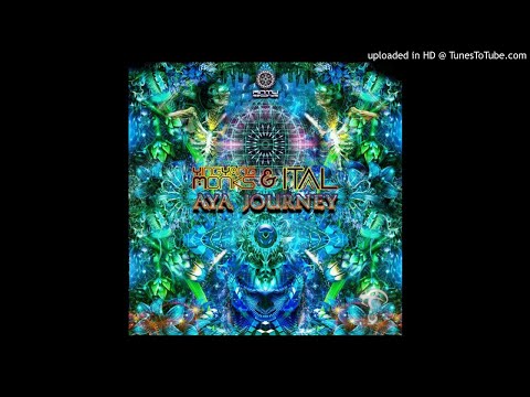Ital & Ying Yang Monks - Aya Journey
