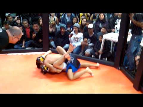 wesley constantino vs lucas henrique