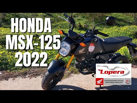 Honda MSX-125 (GROM) (2022) | Probefahrt, Walkaround, Soundcheck (DEUTSCH) | VLOG 312
