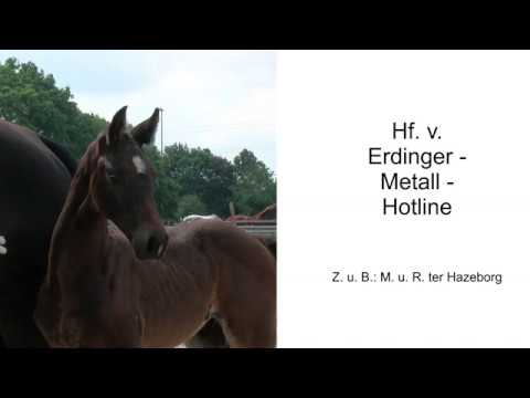 Hf v Erdinger x Metall x Hotline 2020