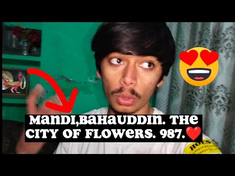 MANDI,BAHAUDDIN. THE CITY OF FLOWERS. 987.❤️ VLOG # 48 #flowers #987 #murtazavlogs