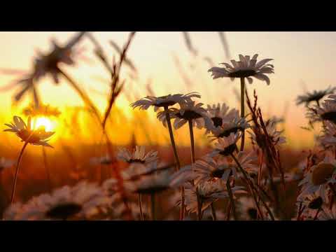 Lange vs. Gareth Emery - Another You Another Me (Tangle & Mateusz Bootleg) [Progressive Trance]