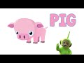 Farm Animals Learn With The Teletubbies