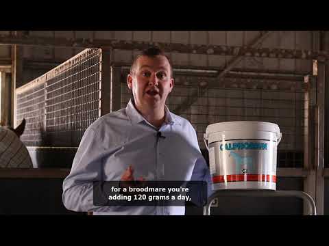 Videos from Amacron Equine