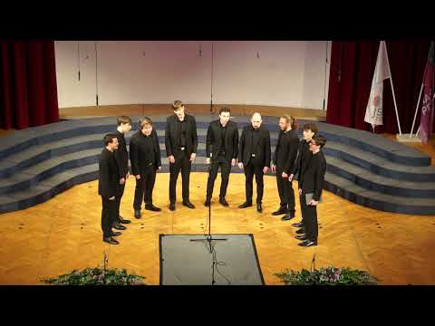 Naša pesem 2024 – VOKALNA SKUPINA AD HOC – KAJ NE, DA ČUDEN SEM?