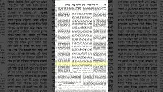 מנחות דף קח