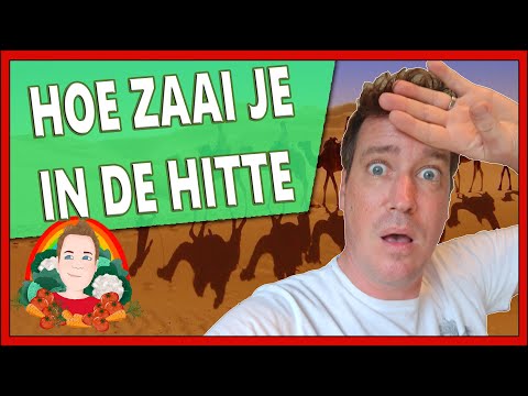 , title : 'HOE ZAAI JE IN DE HITTE | Moestuin vlog 143 | zaaien in de volle grond'