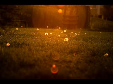 Ermal Meta feat. Elisa💛Piccola Anima