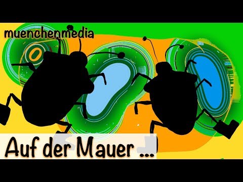 ???? Auf der Mauer auf der Lauer Party - Kinderparty deutsch - muenchenmedia